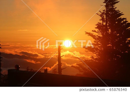 澀谷路線292上的日出和雲海黎明的風景 澀谷路線292上的日出和雲海黎明的風景 65876340