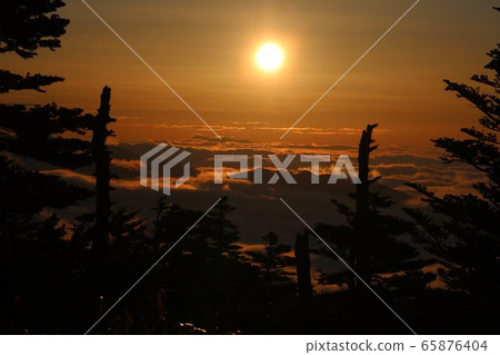 澀谷路線292上的日出和雲海黎明的風景 65876404