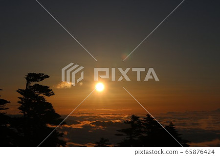 澀谷路線292上的日出和雲海黎明的風景 澀谷路線292上的日出和雲海黎明的風景 65876424