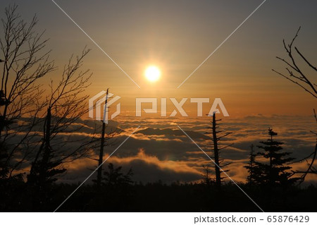 Scenery of sunrise and sea of clouds at dawn on Shibutoge Route 292 65876429