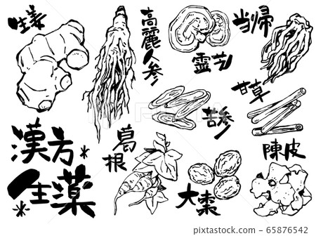 Stock Illustration: herbal medicine Stock Illustration: herbal medicine 65876542