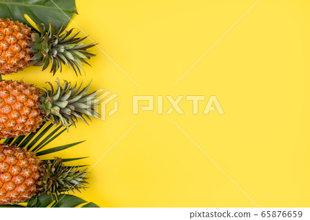 Bromeliad tropical leaves penglai banana background turtle leaf pineapple background パ イ ナ ッ プ ル 65876659