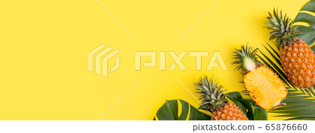 Bromeliad tropical leaves penglai banana background turtle leaf pineapple background パ イ ナ ッ プ ル 65876660