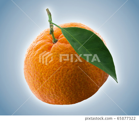 Tangerine or clementine with green leaf isolated on white background Tangerine or clementine with green leaf isolated on white background 65877322