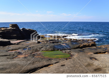 Senjojiki (Shirahama Town, Wakayama Prefecture) Senjojiki (Shirahama Town, Wakayama Prefecture) 65877515