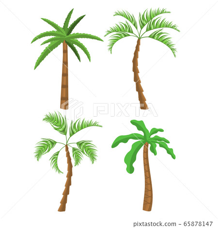 Tropical palm trees. 65878147