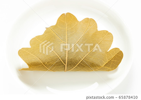 Kashiwa mochi. (White plate / white background) 65878410
