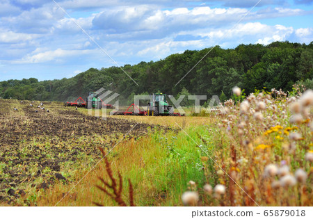 Agricultural work in processing, cultivation Agricultural work in processing, cultivation 65879018