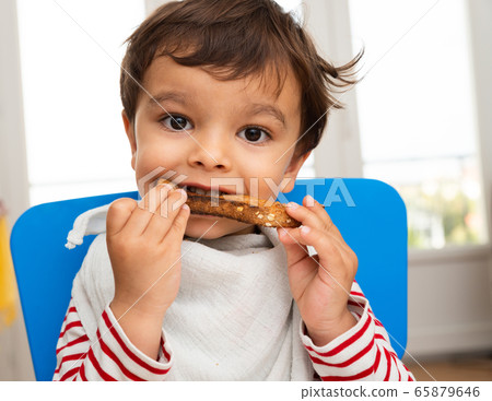 Toddler eating a toast Toddler eating a toast 65879646