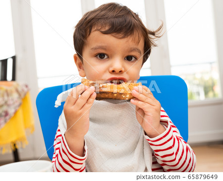 Toddler eating a toast 65879649