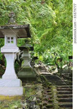 信州鮮綠色寺廟的楓樹 信州鮮綠色寺廟的楓樹 65879777