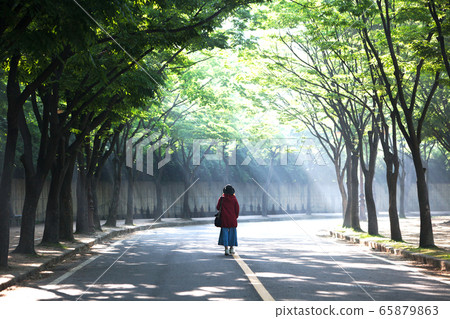 Park at dawn with light Park at dawn with light 65879863
