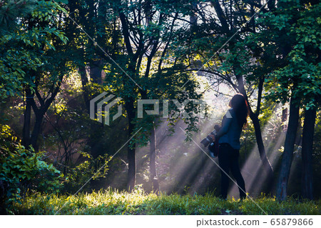 Park at dawn with light Park at dawn with light 65879866