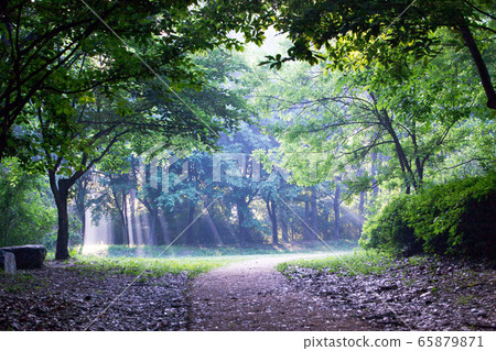 黎明時分停在光 黎明時分停在光 65879871