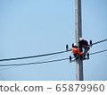 electrician man working at height and dangerous ,high voltage power line maintenance 65879960