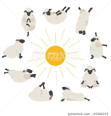 Sheep Yoga Poses Collection. Farm Animals Set. - Stock Illustration  [65880245] - Pixta