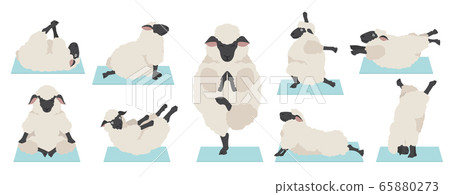 Sheep yoga poses collection. Farm animals set. 65880273