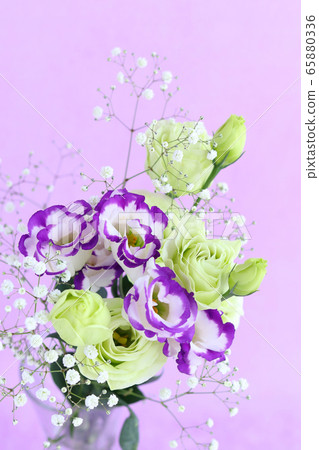 洋桔梗和薄霧草 照片素材 圖片 圖庫