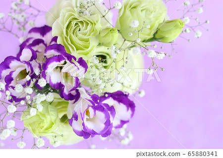 洋桔梗和薄霧草 照片素材 圖片 圖庫