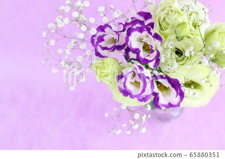 洋桔梗和薄霧草 照片素材 圖片 圖庫