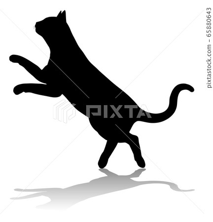 Silhouette Cat Pet Animal 65880643