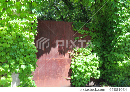 生鏽的鐵門 65881084