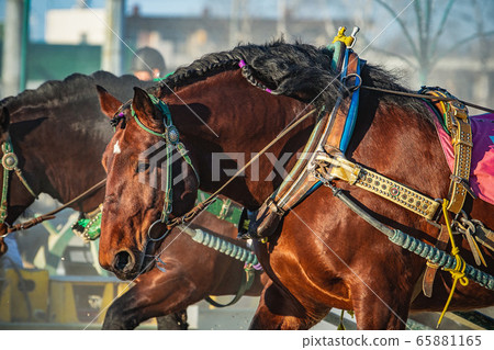 Banei Horse Racing (Hokkaido) 65881165