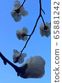 Magnolia flower silhouette 65881242