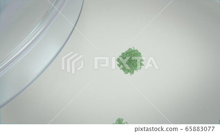 3d render of bacteria and viruses in a petri dish 3d render of bacteria and viruses in a petri dish 65883077