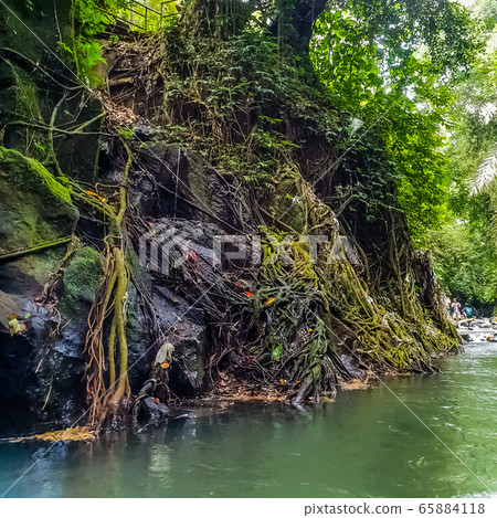 Mountain river in a jungle on Bali, Indonesia 65884118