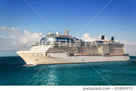 Luxury Cruise Ship Sailing to Port 65884355