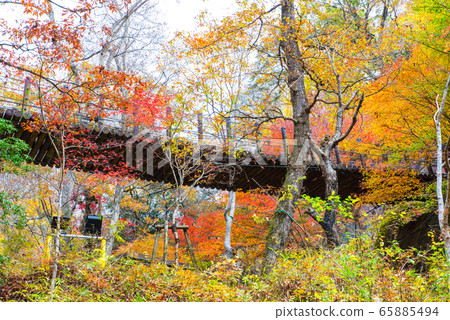 Autumn in the Hananuki Valley Shiomidaki Suspension Bridge and autumnal scenery (Takahagi City, Ibaraki Prefecture) Photographed in November 2019 Autumn in the Hananuki Valley Shiomidaki Suspension Bridge and autumnal scenery (Takahagi City, Ibaraki Prefecture) Photographed in November 2019 65885494