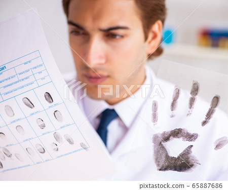 Forensic expert studying fingerprints in the lab Forensic expert studying fingerprints in the lab 65887686