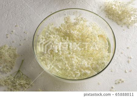 A bowl with elder flowers macerating in water, to prepare syrup 65888011