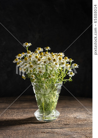 German chamomile flowers in a vase German chamomile flowers in a vase 65888014