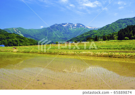 Spring paddy field and Mt. Hakkai 3 Spring paddy field and Mt. Hakkai 3 65889874