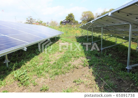 割草後的太陽能發電廠 65891738
