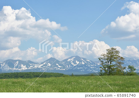 Tokachidake mountain range and dandelion fluff 65891740