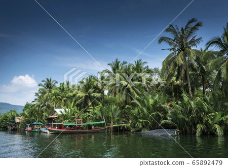 traditional jungle boat at pier on tatai river in traditional jungle boat at pier on tatai river in 65892479