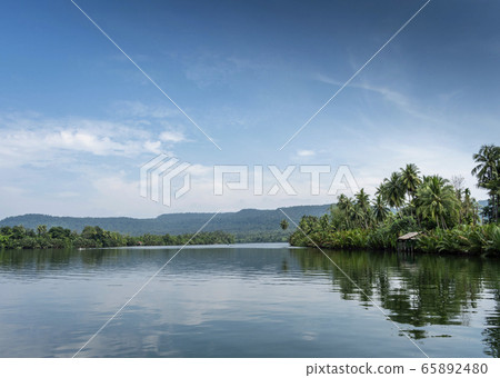 tatai river jungle nature landscape in remote tatai river jungle nature landscape in remote 65892480