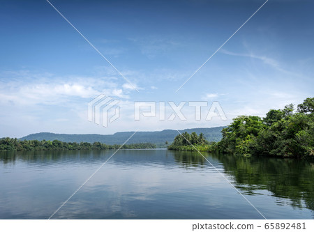 tatai river jungle nature landscape in remote tatai river jungle nature landscape in remote 65892481