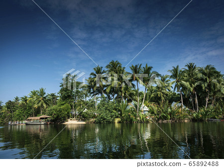 traditional jungle boat at pier on tatai river in traditional jungle boat at pier on tatai river in 65892488