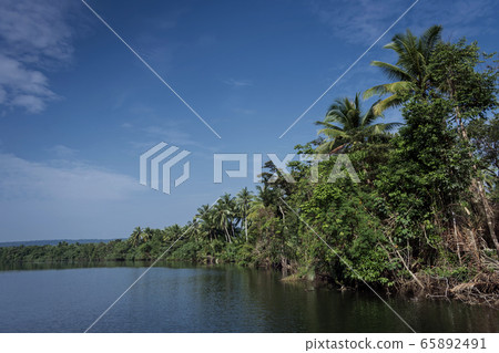 tatai river jungle nature landscape in remote tatai river jungle nature landscape in remote 65892491