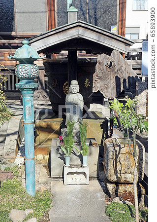 Sorinji 65893900