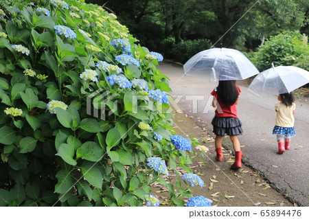 A walk 65894476