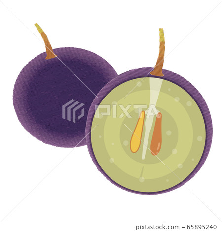Illustration of grapes with analog hand-painted touch ｜ Polyphenol cross-section diagram 65895240