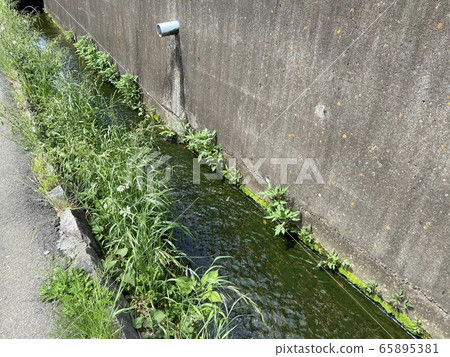 Drain Drain 65895381