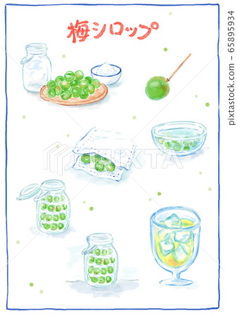 梅梅糖漿食譜水彩風格手繪插圖如何使梅花工作 65895934