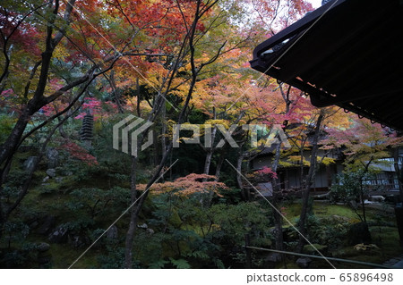 京都昭和寺秋葉之靜美 京都昭和寺秋葉之靜美 65896498