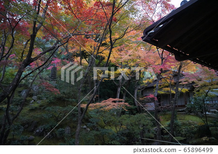 Jōkōji Temple Kyoto autumn leaves Jōkōji Temple Kyoto autumn leaves 65896499